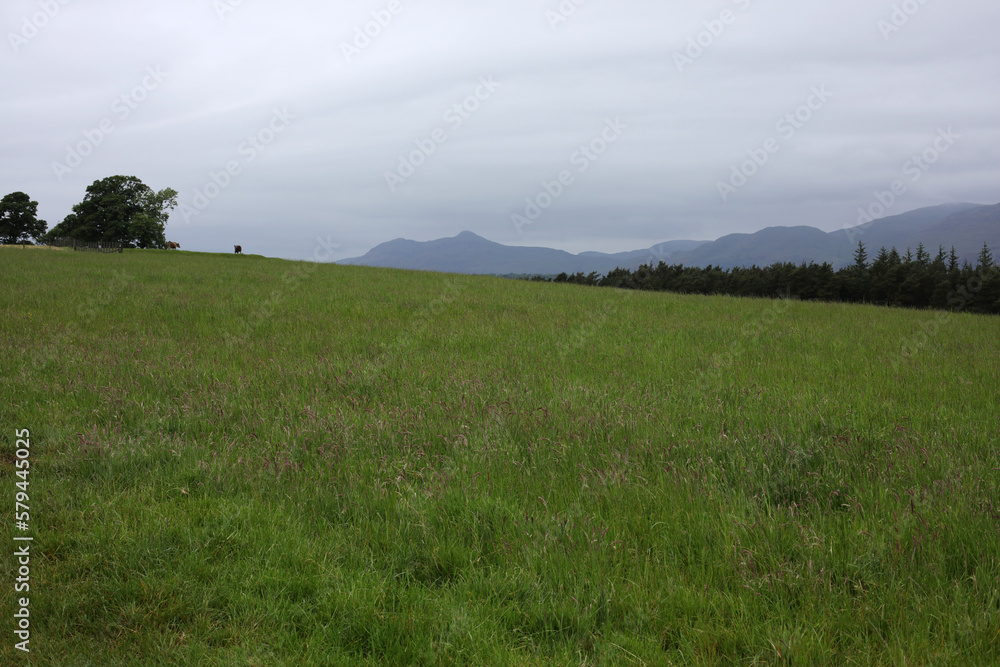 Fototapeta premium View of the countryside from King's seat hilltop - Clackmannan - Stirlingshire - Scotland - UK