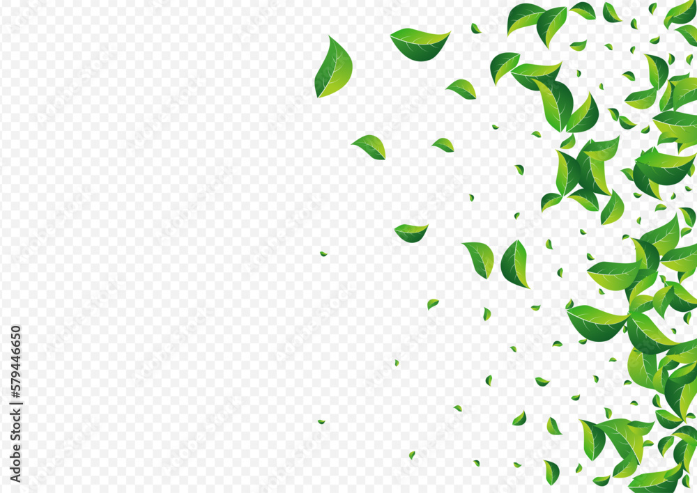 Forest Foliage Flying Vector Transparent Forest Foliage Flying Vector Transparent