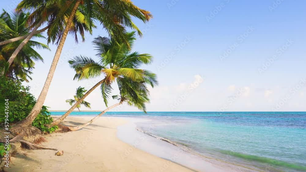 Amazing beach in Maldives. Luxury tourism concept for resort. Perfect beach scene, palm trees, blue sky and calm sea water with soft waves. Exotic summer holidays. Paradise Island. Amazing beach in Maldives. Luxury tourism concept for resort. Perfect beach scene, palm trees, blue sky and calm sea water with soft waves. Exotic summer holidays. Paradise Island.