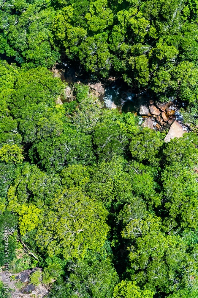Aerial view of a forest in Australia