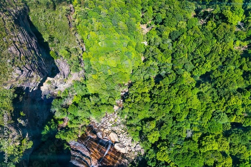 Aerial view of forest in the mountains