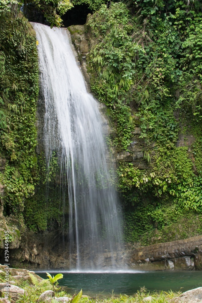 Vertical shot of a waterfall in a forest Vertical shot of a waterfall in a forest