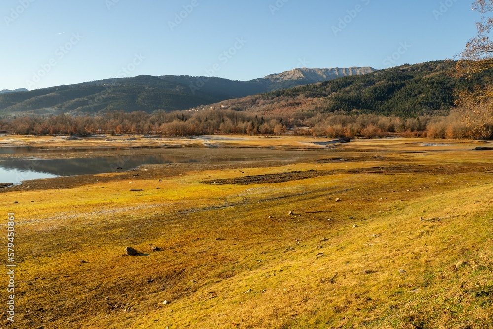 Fototapeta premium Scenic shot of a field with a small lake there surrounded by trees under the blue sky
