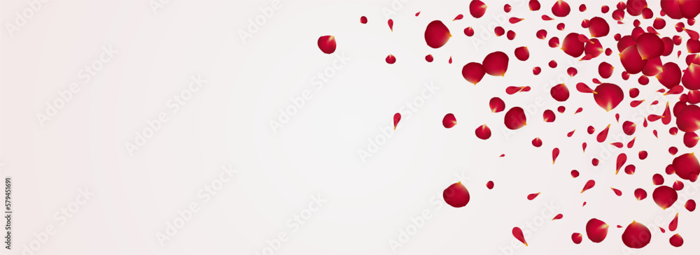 Delicate Cherry Flying Vector Panoramic White