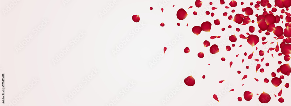 Delicate Cherry Flying Vector Panoramic White Delicate Cherry Flying Vector Panoramic White