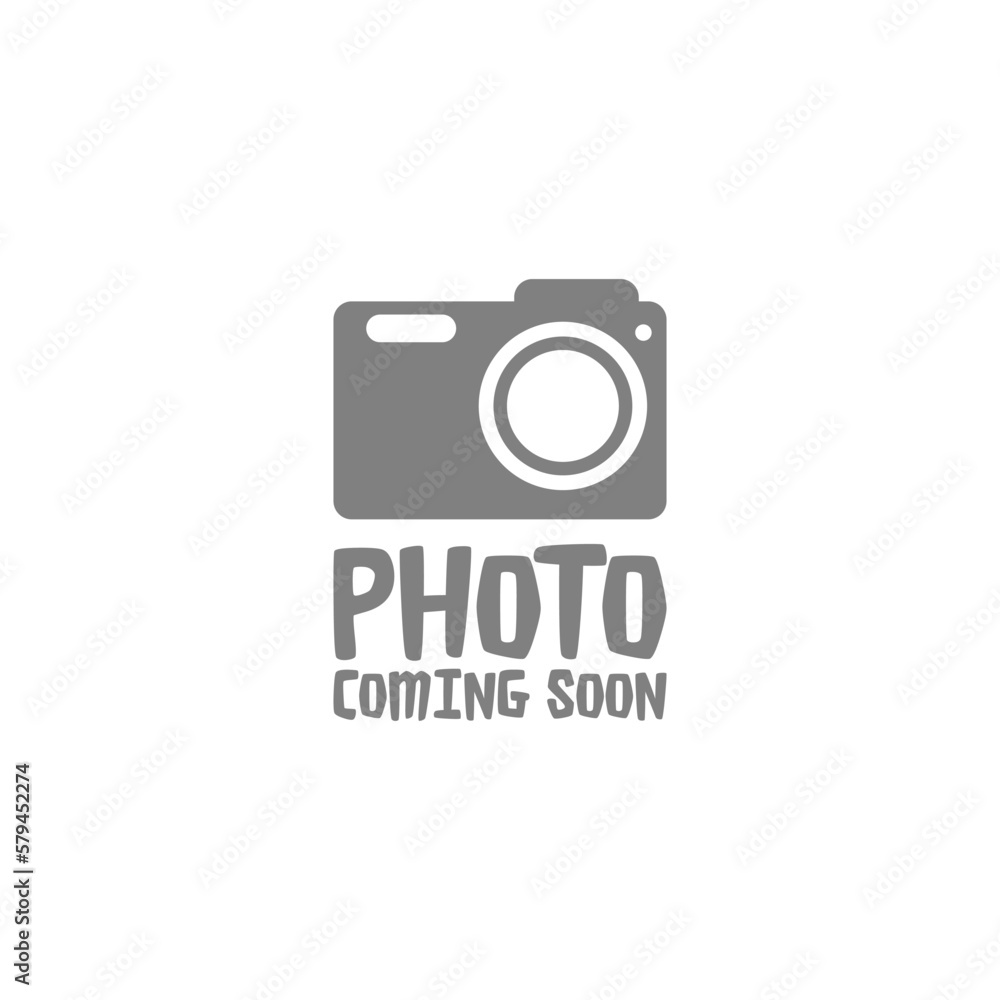 Photo coming soon image icon logo isolated on white background