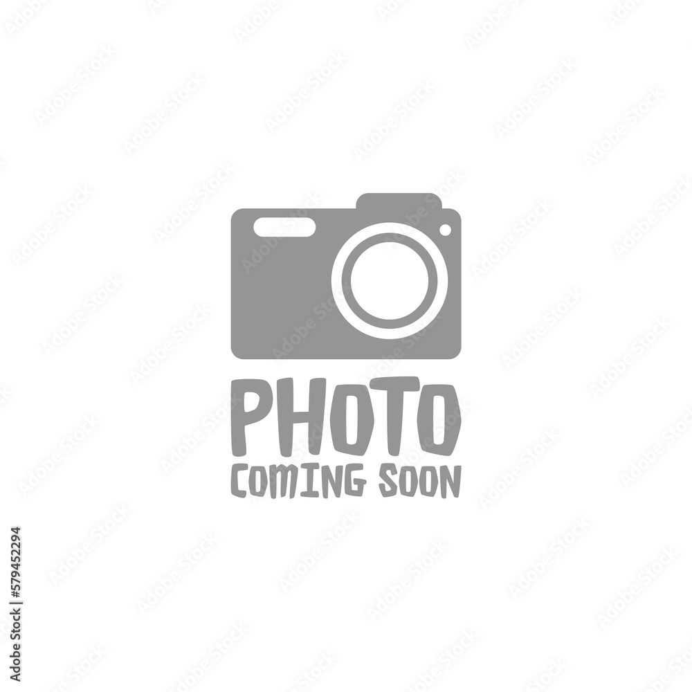 Photo coming soon image icon logo isolated on white background