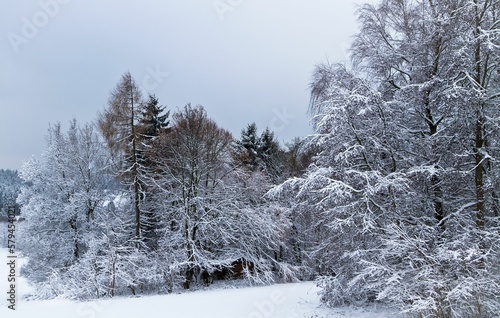 Scenic view of a snow covered fir forest under the cloudy sky in winter