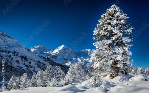 Photography Landscape of Tyrol mountains covered in forests and snow under the sunlight in A