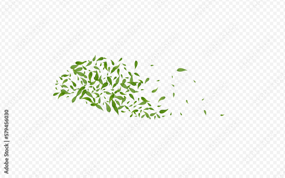 Mint Foliage Wind Vector Transparent Background Mint Foliage Wind Vector Transparent Background