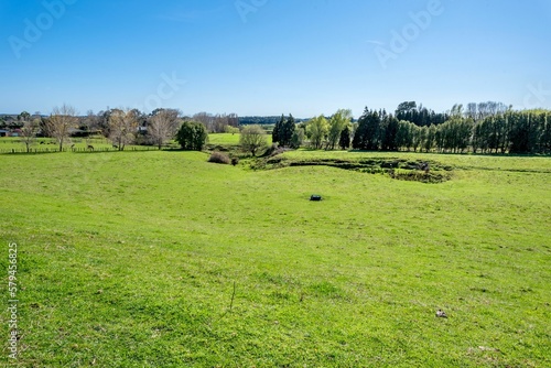Green field with trees against a sunny blue sky in Horowhenua, New Zealand © Philip Armitage/Wirestock Creators