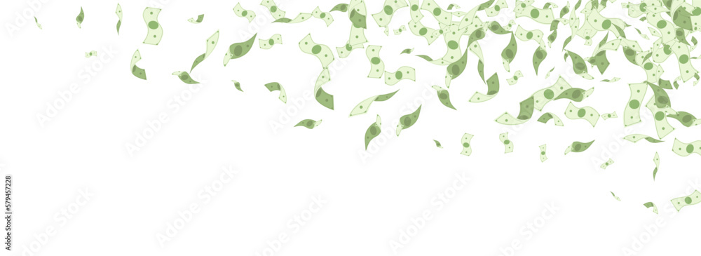 Green Cash Vector White Panoramic Background. Green Cash Vector White Panoramic Background.