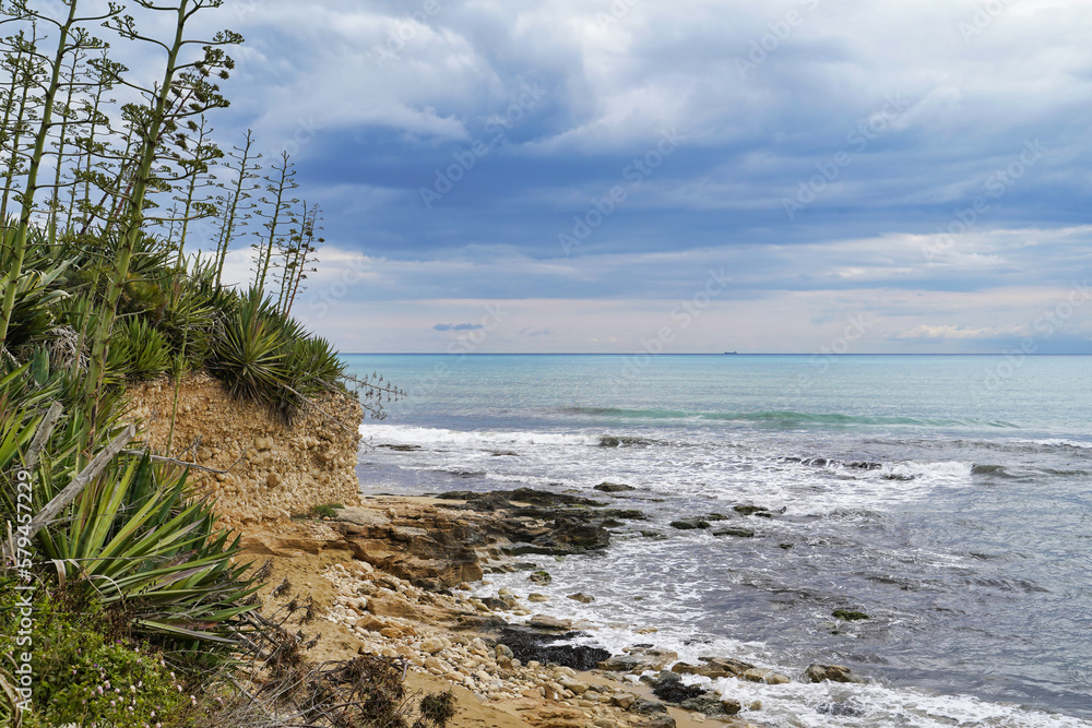 Sea coast with tropical plants, Sicily, Italy