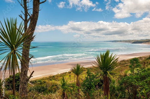 Scenic view of the seaside in North Island  New Zealand
