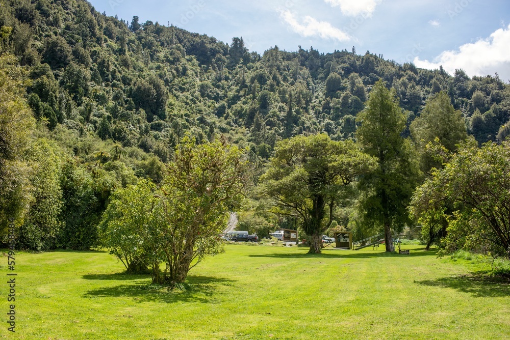 Fototapeta premium Beautiful view of a green landscape with high trees against a cloudy sky