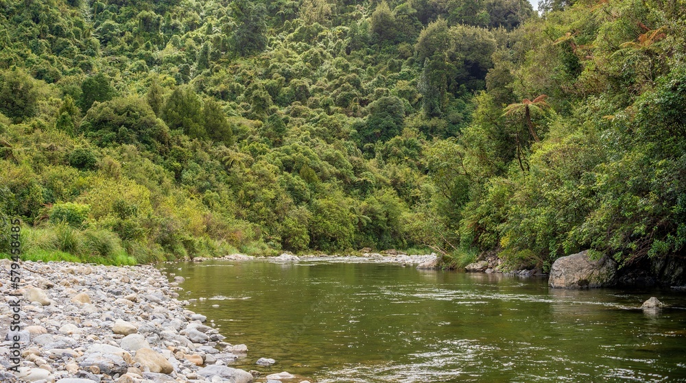 Scenic shot of the Otaki River surrounded by trees in Kapiti, New Zealand