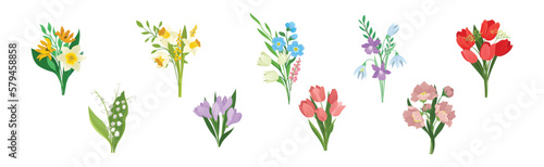 Meadow Flower Blossom with Stems Bouquet Vector Set