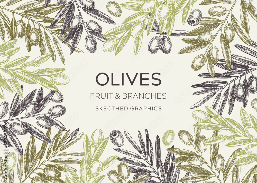 Vettoriale Stock Sketched olive tree branches frame design. Hand drawn ...