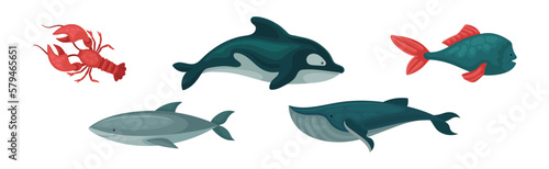 Marine Habitant and Sea Underwater Mammals Vector Set
