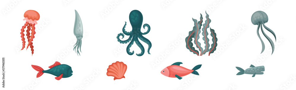 Marine Habitant and Sea Underwater Mammals Vector Set Marine Habitant and Sea Underwater Mammals Vector Set