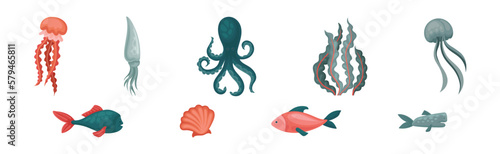 Marine Habitant and Sea Underwater Mammals Vector Set