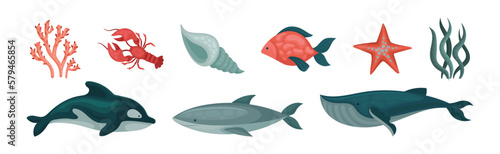 Marine Habitant and Sea Underwater Mammals Vector Set