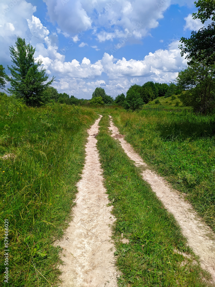 a dirt road among the trees with a blue sky on a sunny day in summer in Ukraine