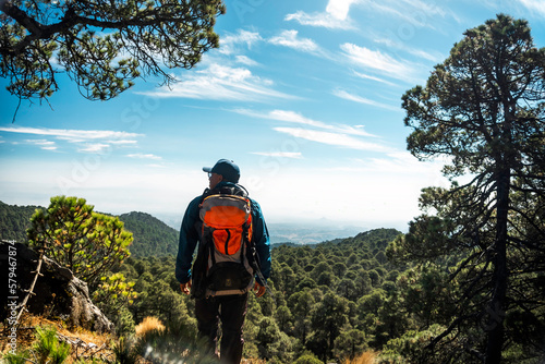 Man exploring nature in the forest