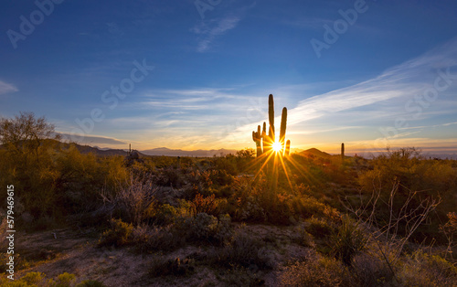 A Sunburst Behind A Cactus In The Arizona Desert