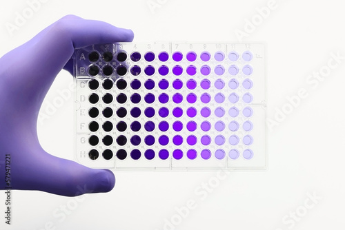 Hand with glove picking up a lab plate with clinical or research samples photo