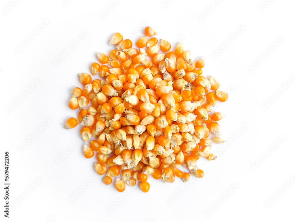Raw dry orange colour popcorn grains,seeds isolated on white background.Pile of Raw uncooked dry corns.Popcorn kernels. Raw dry orange colour popcorn grains,seeds isolated on white background.Pile of Raw uncooked dry corns.Popcorn kernels.