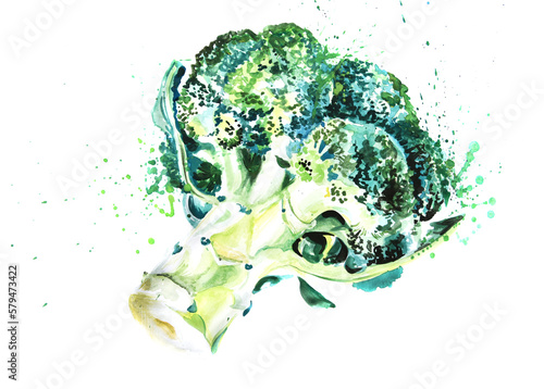 Watercolor Broccoli painting  isolated on white background with paint splashes. Hand drawn  illustration of fresh raw green vegetable for design. Edible plant  cabbage family. Organic and healthy food
