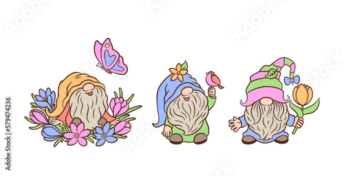 Cute spring garden gnomes with bird, tulip, butterfly. Adorable baby gnome sitting in flowerbed crosuses. Scandinavian gnomes characters. For Easter or mothers day greeting card, sign, poster, etc.