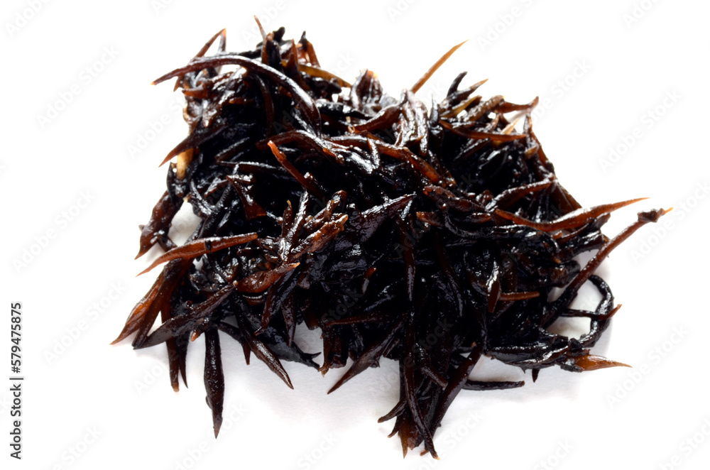 Obraz premium ひじき