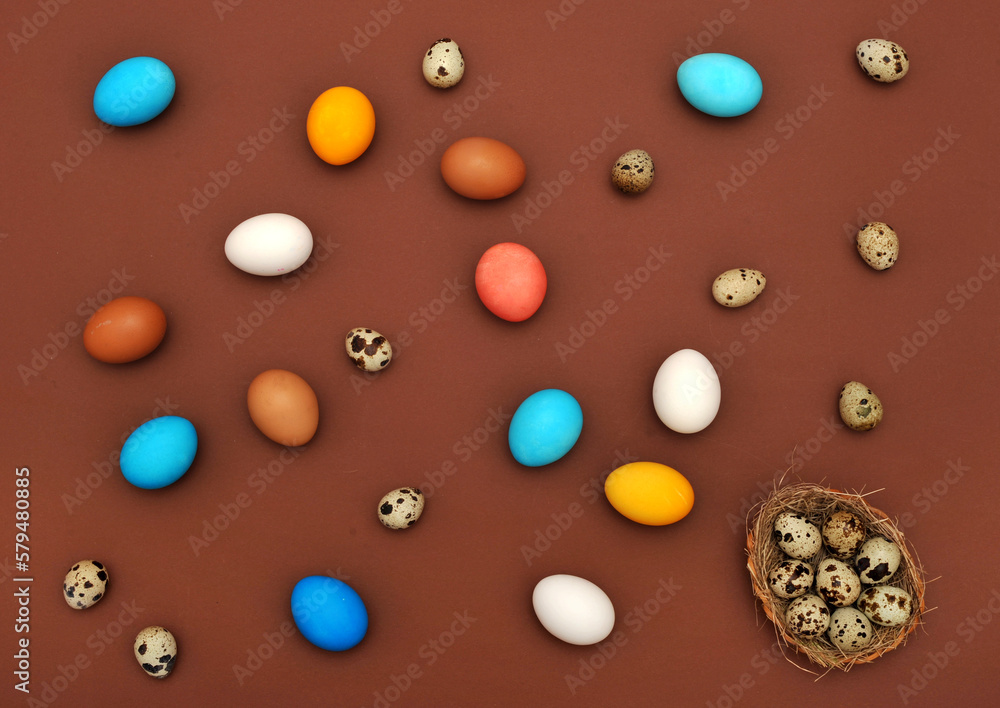 Fototapeta premium Easter concept painted and quail eggs on a terracotta background