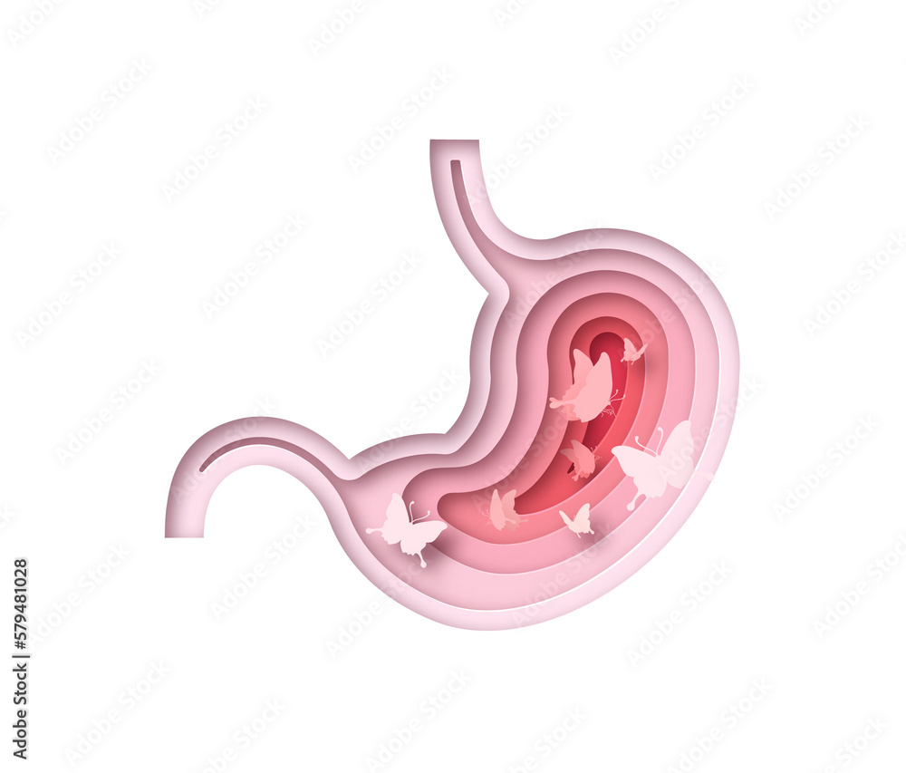 Realistic 3D paper cut human stomach with butterflies inside. Papercut