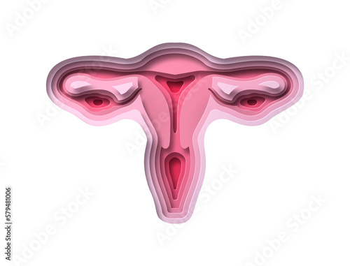 Photos Realistic 3D paper cut human uterus illustration