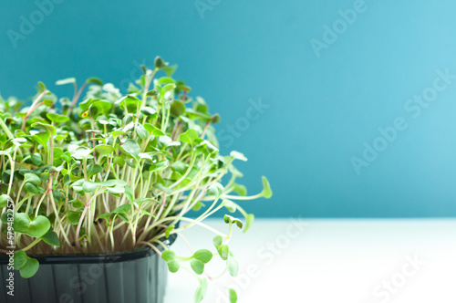 microgreens, green peas, growing greens, healthy food, diet, health, ingredients, vegetarian