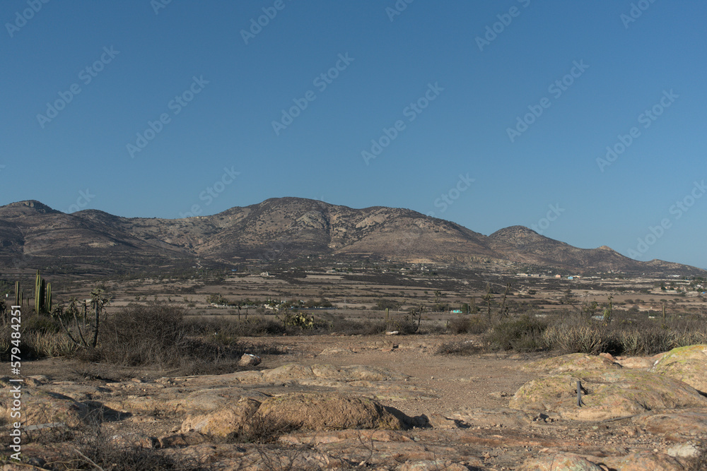 Desert landscape with mountains and cactuses in the background.