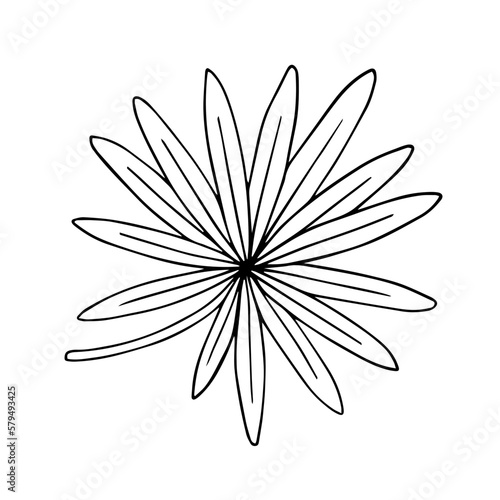 Linear sketch of tropical leaves.Vector graphics.
