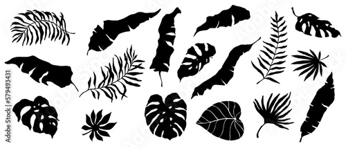 Set of silhouettes of various tropical leaves .Vector graphics.