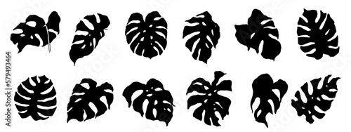 Monstera leaf silhouette set.Vector graphics.