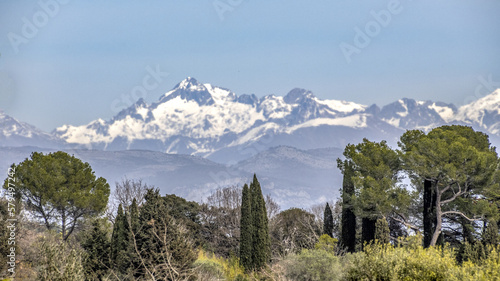 Paysage du Sud de la France avec une colline boisée avec des pins et des ifs et avec les sommets enneigés du massif du Mercantour photo