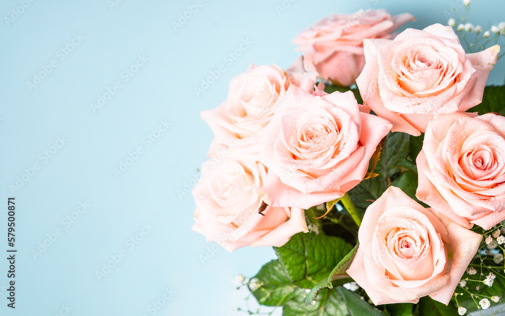Pink rose flowers bouquet at blue background. Greeting card with space for text.