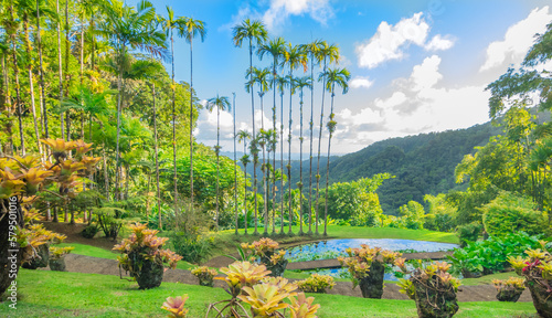 Jardins de la Balata à Fort-De-France, Martinique. Jardins exotique des Antilles Françaises.  photo