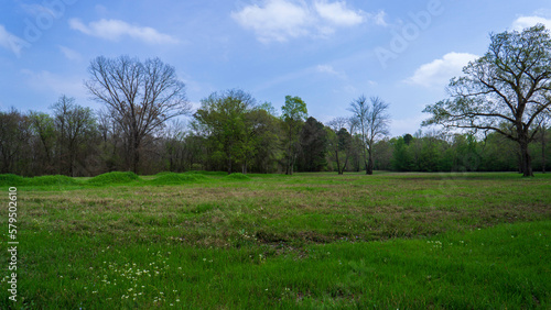 Landscape with open field, trees and blue sky