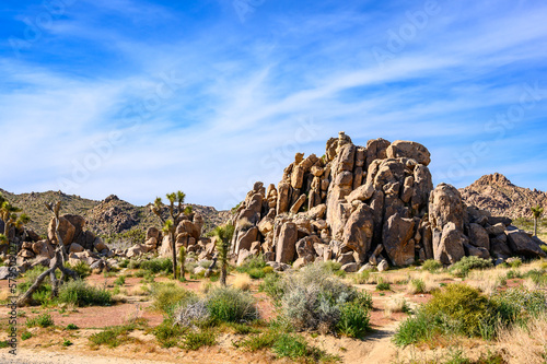 Joshua Tree National Park, Mojave Desert, California, USA
