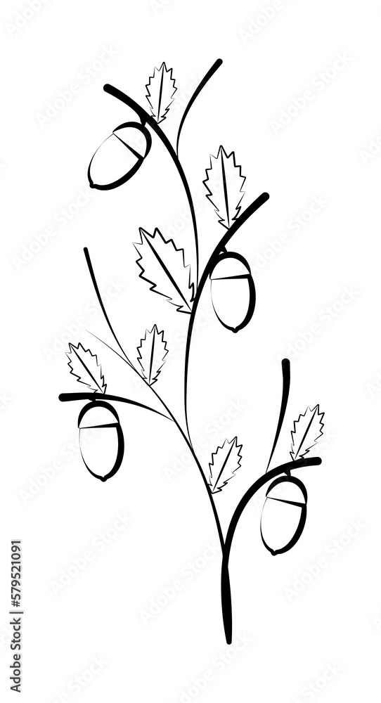 decorative flowers, hand draw decorative flowers, hand draw