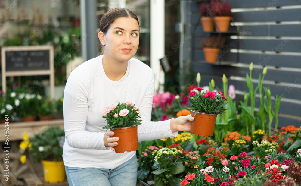 Woman in casual clothes shopping for pot of garden carnation at flower shop