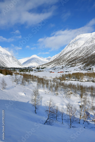 Alpine winter landscape on Hemsedal route in Norway  Europe
